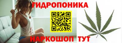 сатива Моздок