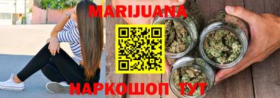 сатива Моздок
