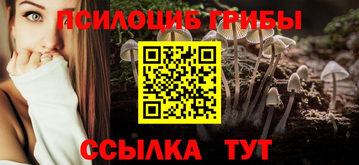 Псилоцибиновые грибы GOLDEN TEACHER  Псилоцибиновые грибы Psilocybine cubensis  Вход с VPN  где купить   Чита 